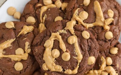 Chocolate Peanut Butter Cookies